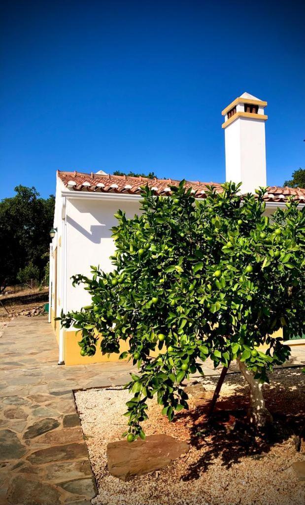 Casa Do Forno Evora Retreat Villa Redondo Ngoại thất bức ảnh