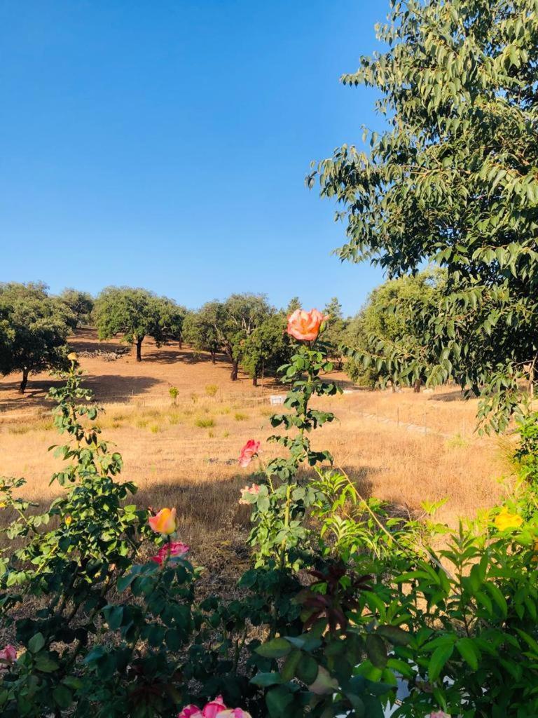 Casa Do Forno Evora Retreat Villa Redondo Ngoại thất bức ảnh